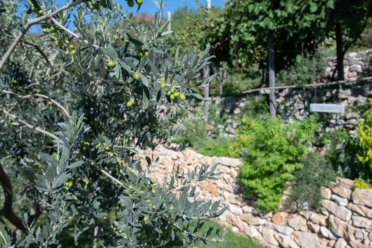Villa Ca' Stella Lake Garda Brenzone sul Garda Itálie